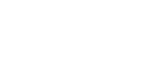 Praxi Digital Logotipo
